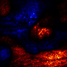 ../_images/tutorial_image-classification-vgg-resnet_29_0.png