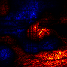 ../_images/tutorial_image-classification-vgg-resnet_33_0.png