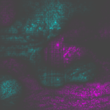 ../_images/tutorial_image-classification-vgg-resnet_35_3.png