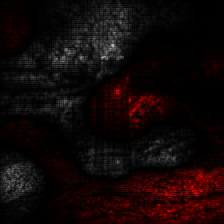 ../_images/tutorial_image-classification-vgg-resnet_35_5.png