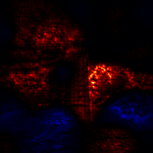 ../_images/tutorial_image-classification-vgg-resnet_29_0.png